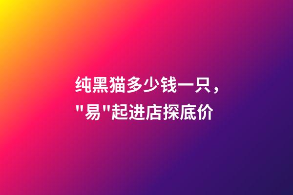 纯黑猫多少钱一只，"易"起进店探底价-第1张-观点-玄机派